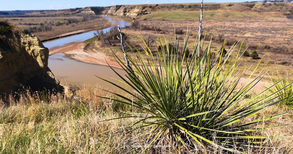 Phone Plans Phone Plans - Home Repair Guide