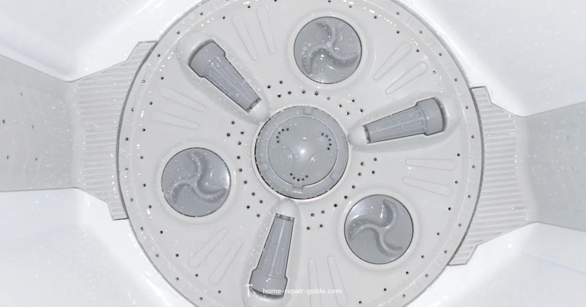 Drain Pump Repair - Home Repair Guide