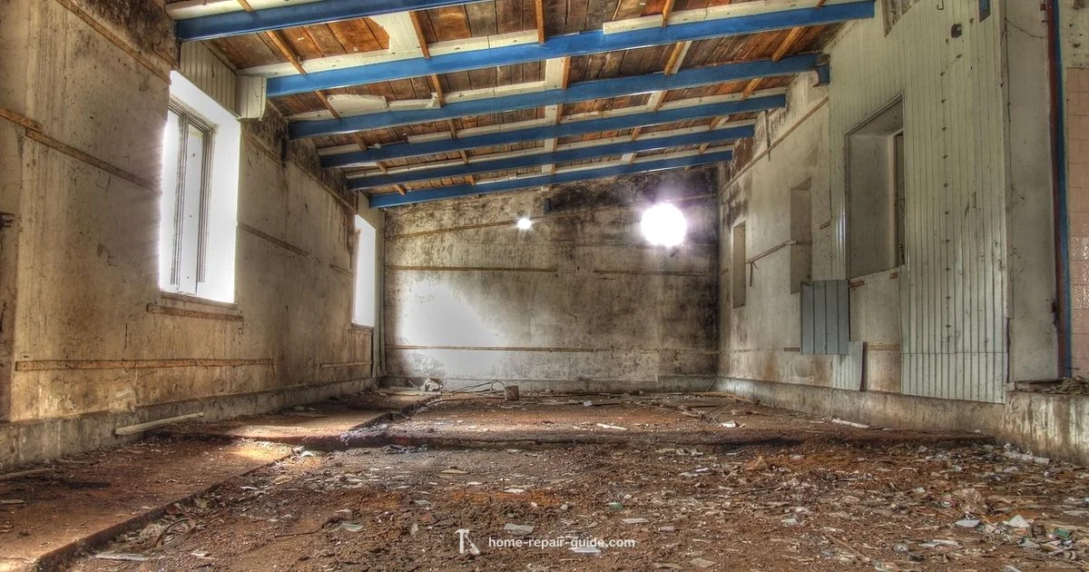 Car Maintenance Guide - Home Repair Guide