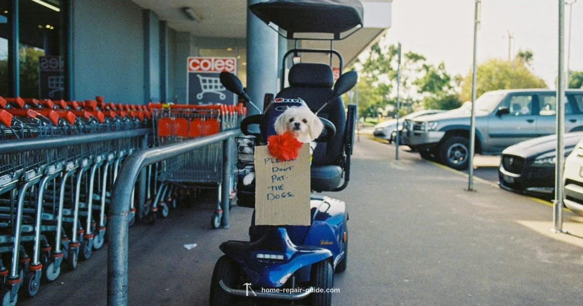 Service Animal Quick Guide - Home Repair Guide