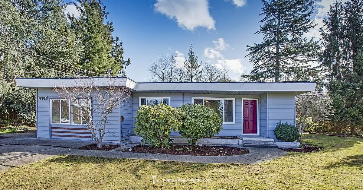 DIY Asphalt Repair - Home Repair Guide