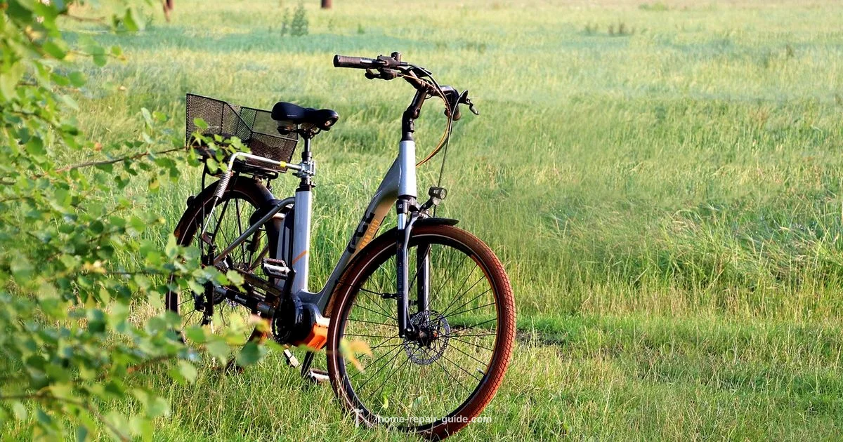 E-Bike Repair Guide E-Bike Repair Guide - Home Repair Guide
