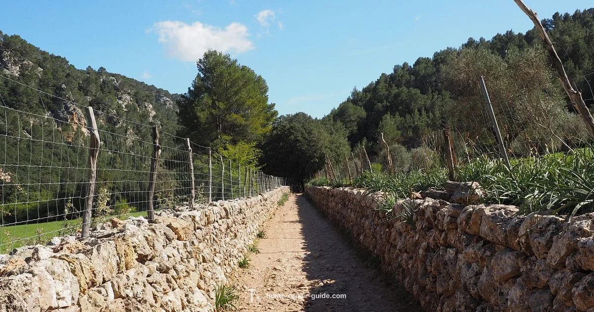 Drywall Repair Guide - Home Repair Guide