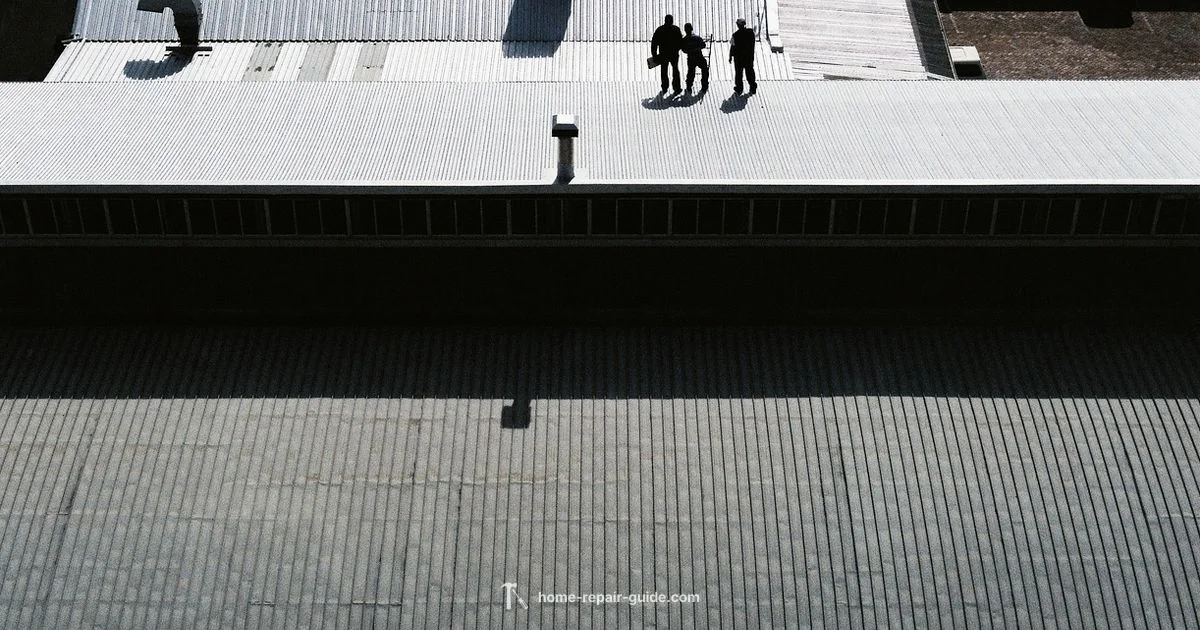 Roof Repair Basics Roof Repair Basics - Home Repair Guide