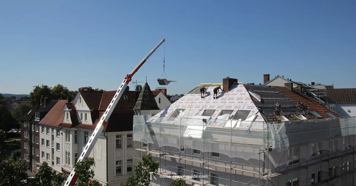 Local Roof Repair - Home Repair Guide