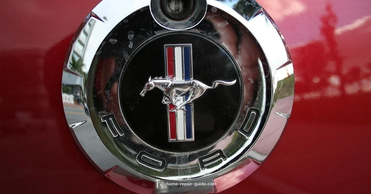 Ford ACM Repair - Home Repair Guide