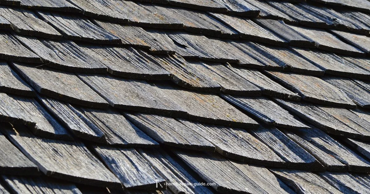 Flat Roof Repair - Home Repair Guide