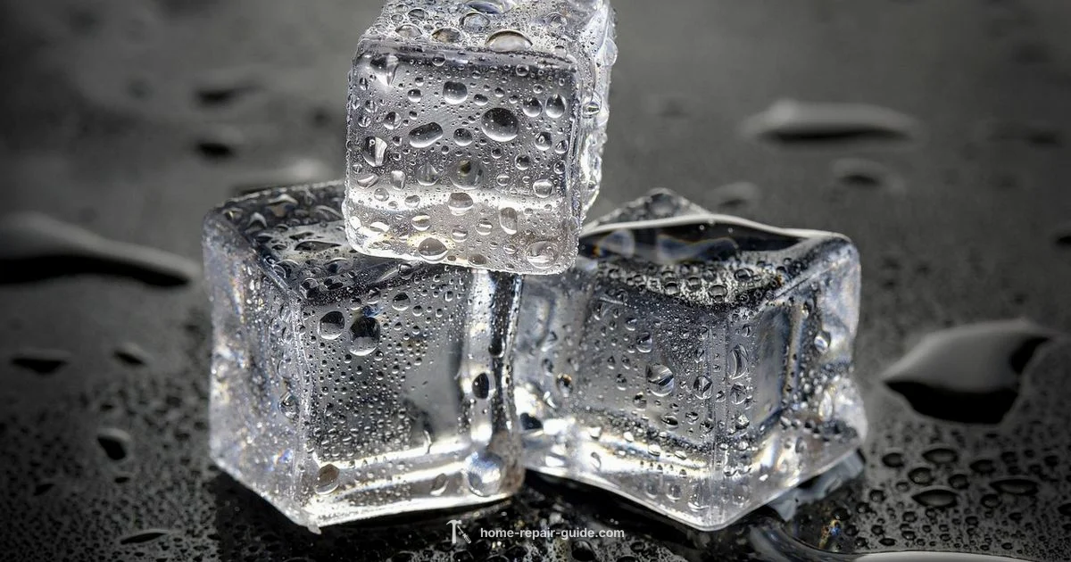Ice Maker Repair - Home Repair Guide