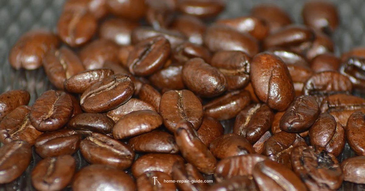 Keurig Repair Guide - Home Repair Guide