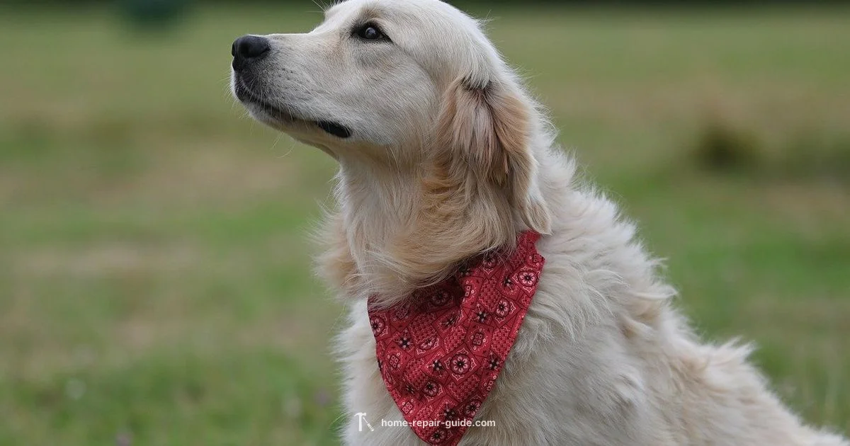 Service Dog Roles - Home Repair Guide