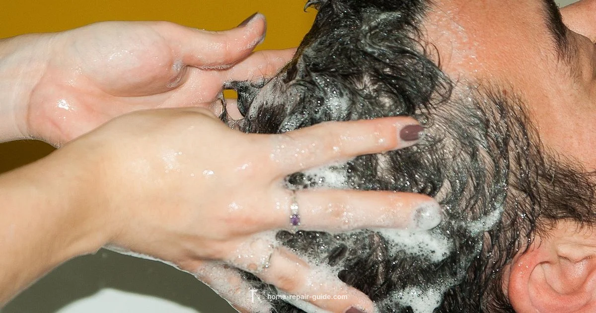 Bond Shampoo Guide - Home Repair Guide