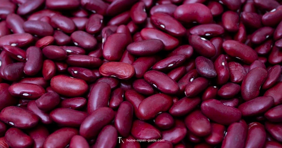 Kidney Diet Guide - Home Repair Guide