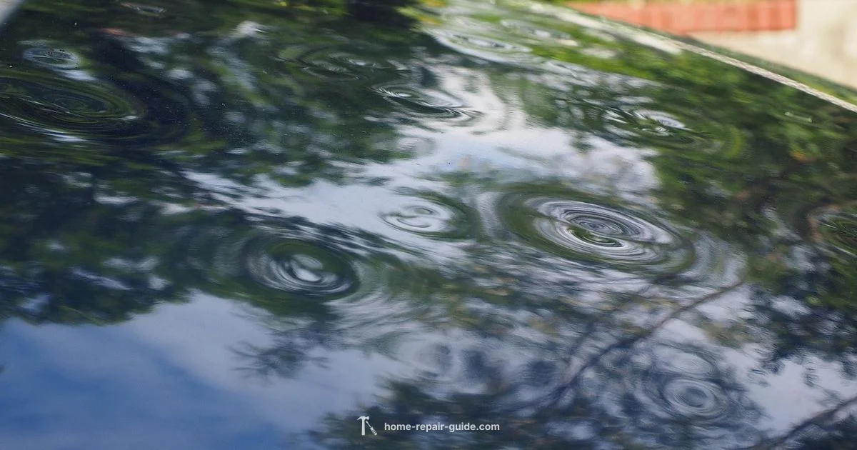 Hail Dent Repair - Home Repair Guide