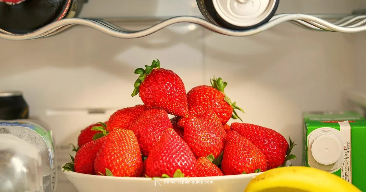 Refrigerator Repair Guide - Home Repair Guide