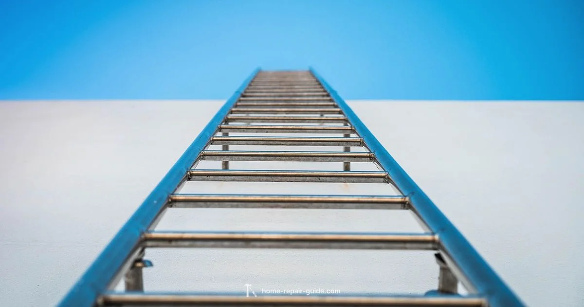 Roof Fix - Home Repair Guide