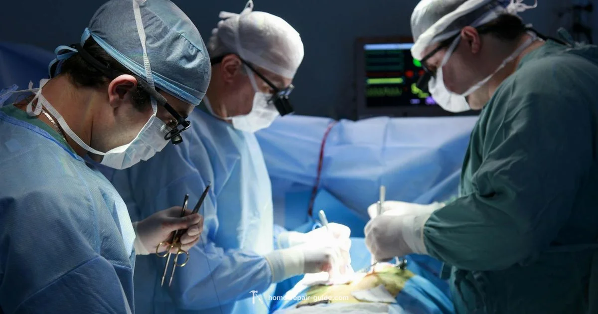 Hernia Mesh Guide - Home Repair Guide