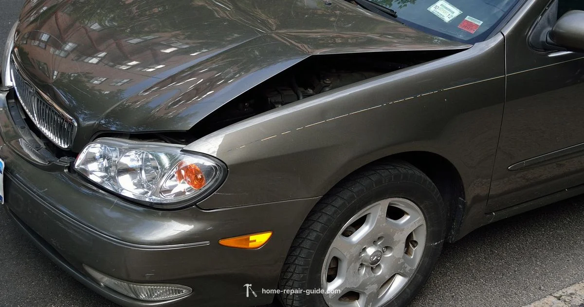 Paintless Dent Repair - Home Repair Guide