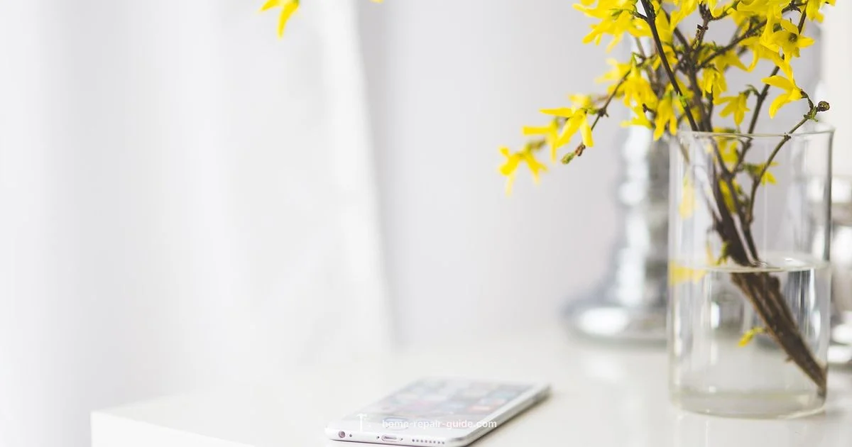 iPhone Repair Stores - Home Repair Guide