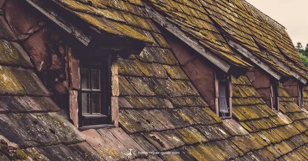 Roof Shingle Fix - Home Repair Guide