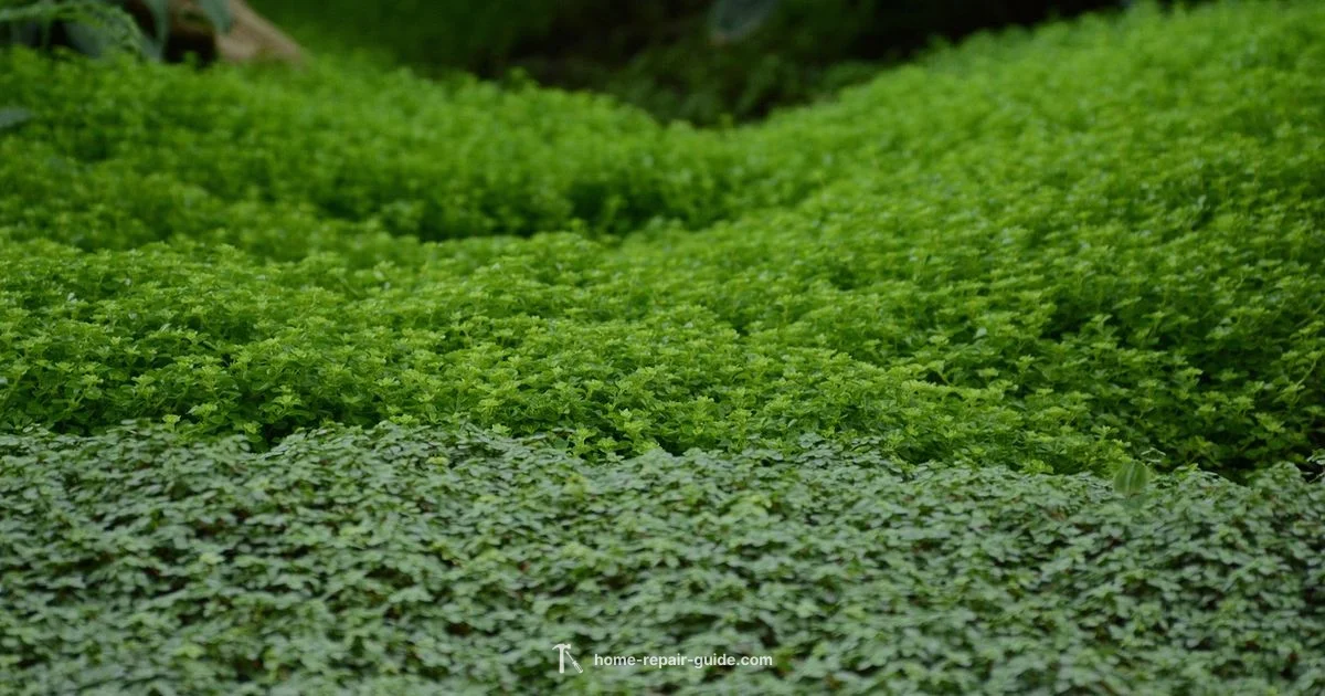 LG Fridge Repair Guide - Home Repair Guide