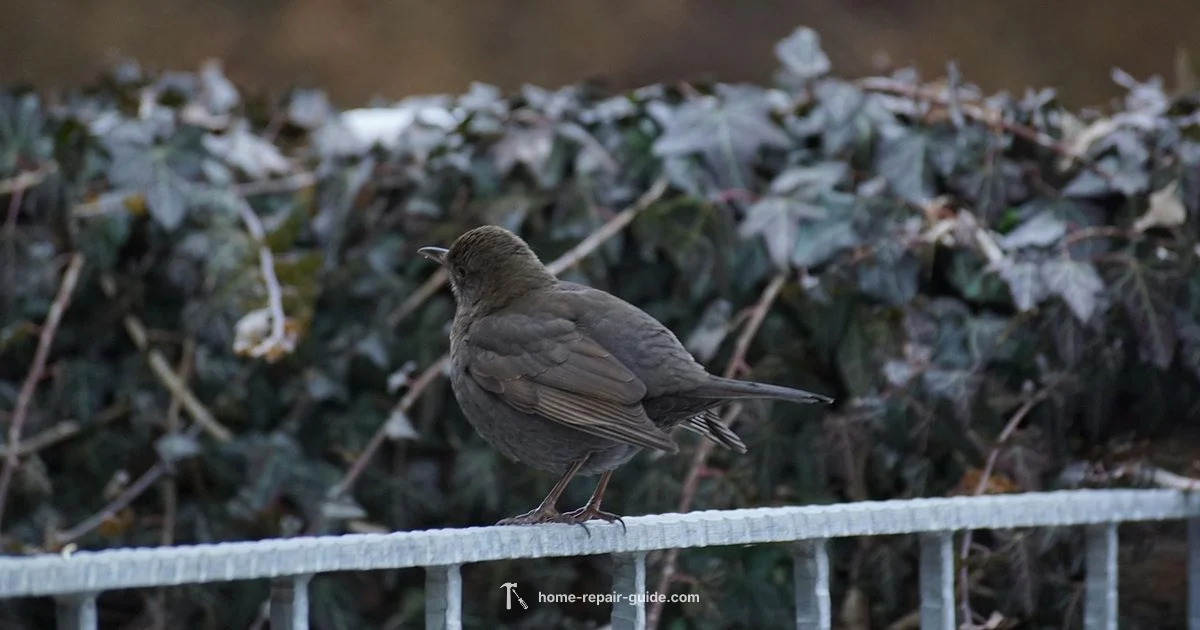 Fence Repair Guide - Home Repair Guide