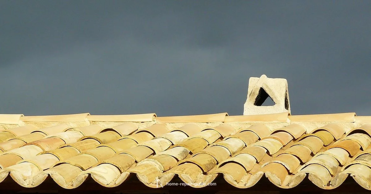 Roof Repair Costs - Home Repair Guide