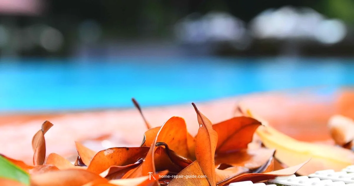 Pool Care Essentials - Home Repair Guide