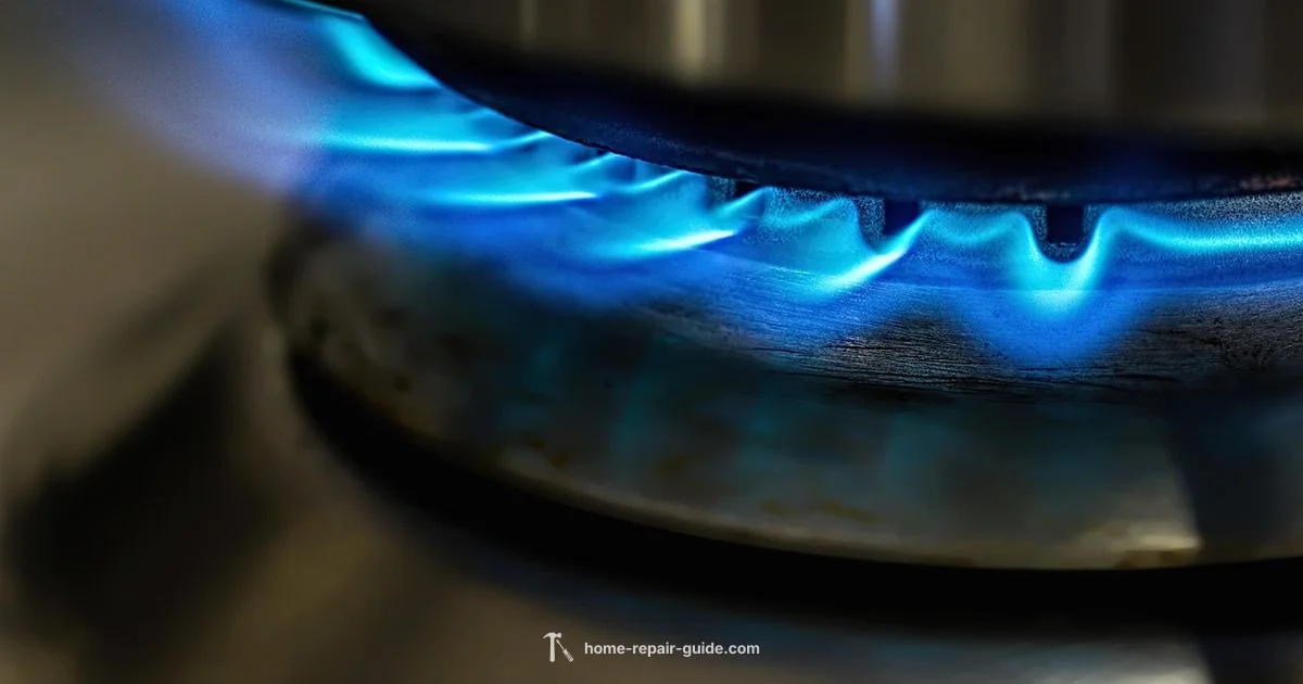 Propane Heater Repair - Home Repair Guide