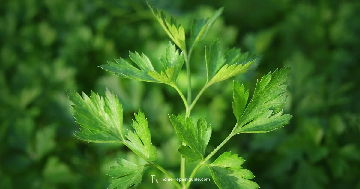 Liver Health Vitamins Liver Health Vitamins - Home Repair Guide