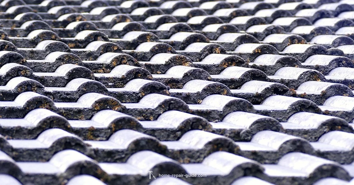 Reliable Roof Repairs - Home Repair Guide