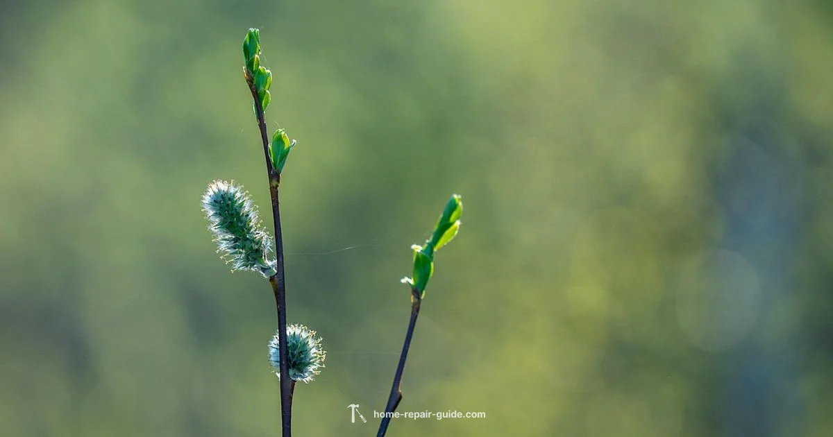 Kidney Health Guide - Home Repair Guide