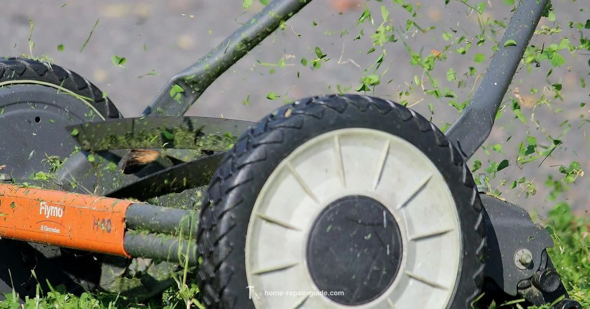 Lawn Repair Shop - Home Repair Guide