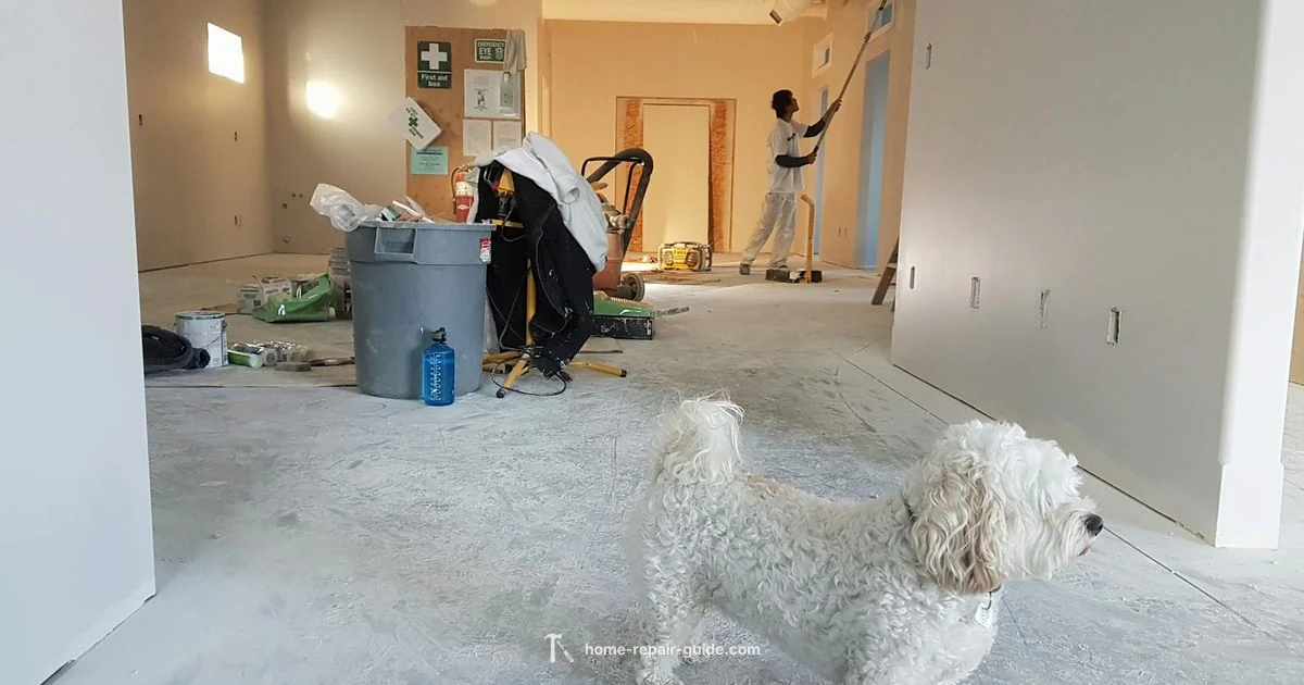 Drywall Primer Guide Drywall Primer Guide - Home Repair Guide