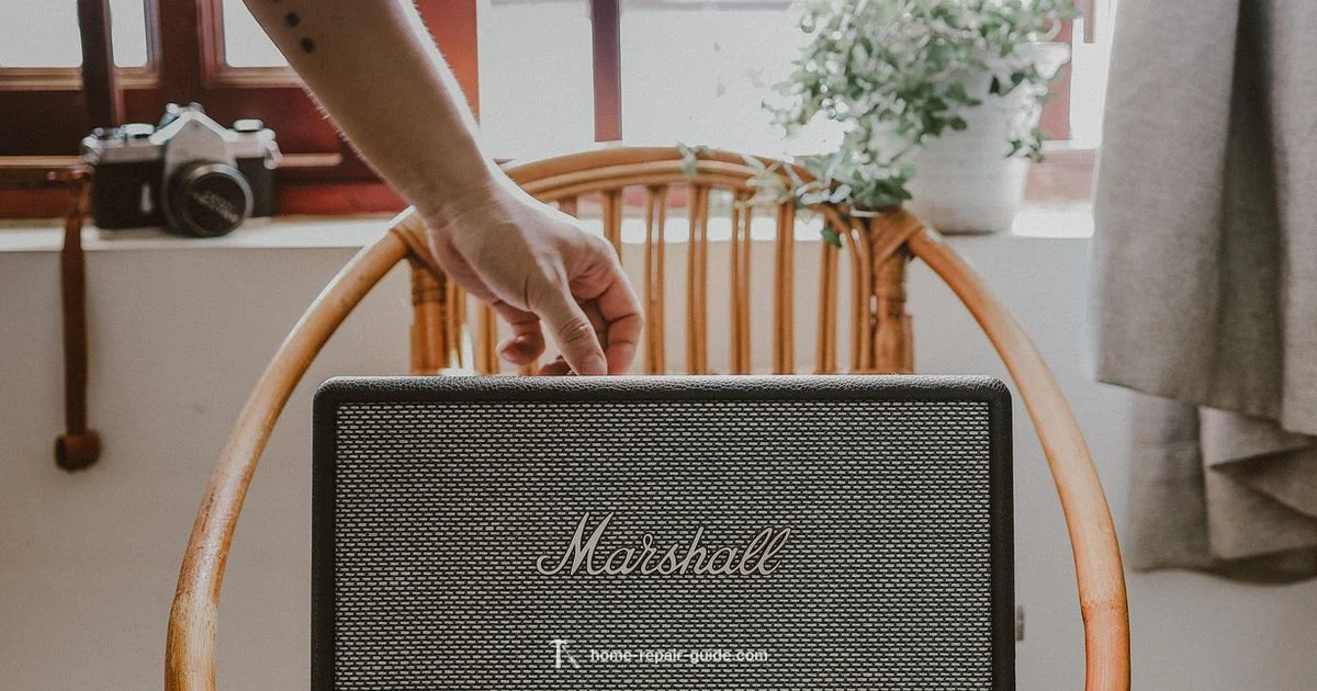 Speaker Repair Guide - Home Repair Guide